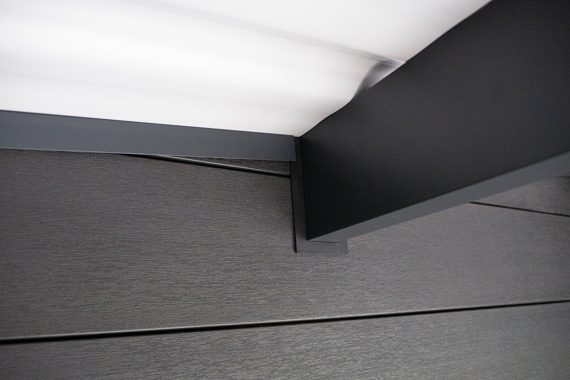 Wolff Finnhaus WPC-Haus Tona 6030 Anthrazit mit Wandpaket