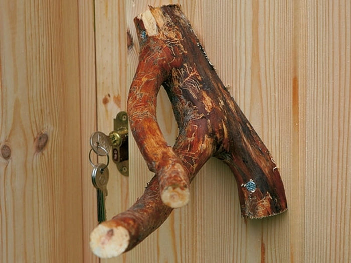 Wolff Finnhaus Aktions-Grillkota Basic 6.7 inkl. schwarzen Schindeln