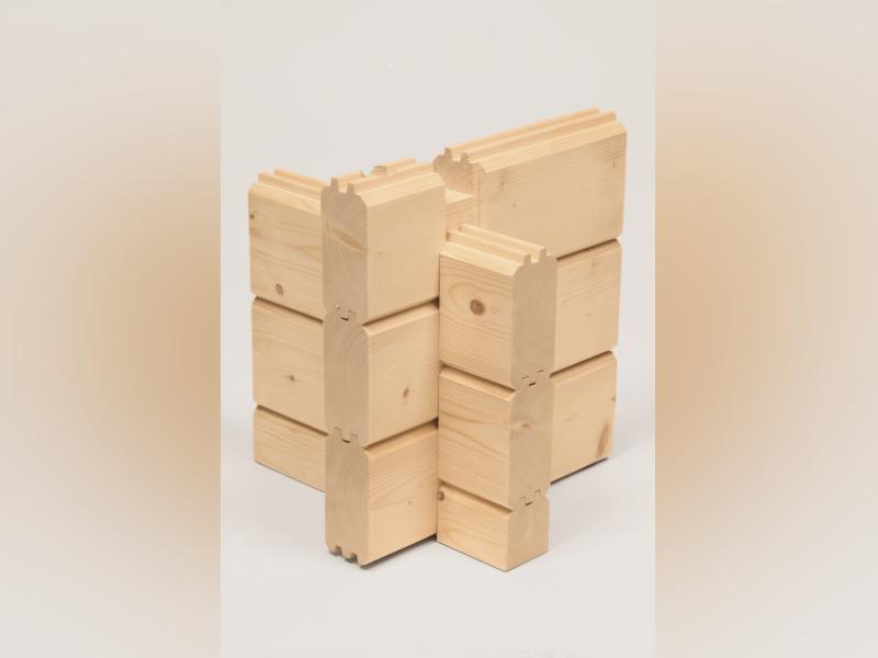 Wolff Finnhaus Ferienhaus Göteborg 70-E Modern