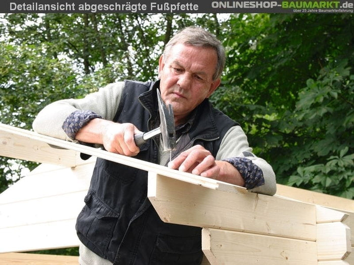 Wolff Finnhaus Gartenhaus Hammerfest 70-C XL