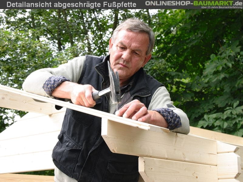 Wolff Finnhaus Gartenhaus Nordkap 70-C