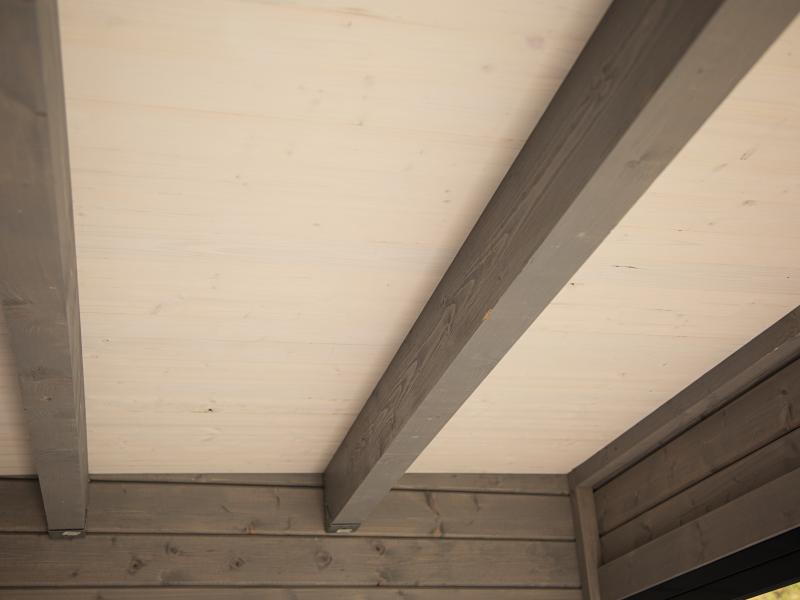 Wolff Finnhaus Pultdachhaus Studio 44-B mit Seitendach und 2 Schiebetüren