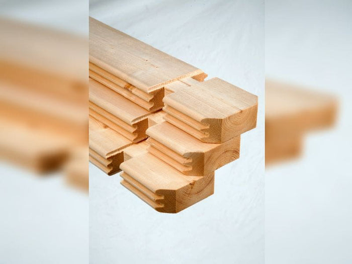 Wolff Finnhaus Pulti 34-B Typ 2 mit Halbglas-Tür naturbelassen