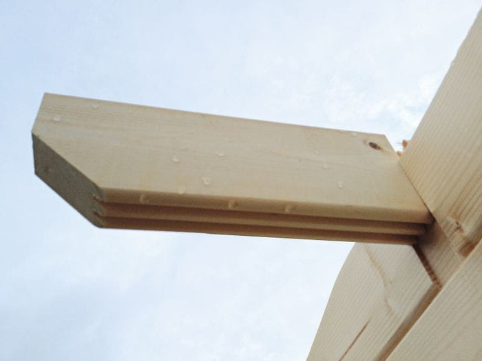 Wolff Finnhaus Pulti 34-C Typ 2 mit Halbglas-Tür naturbelassen