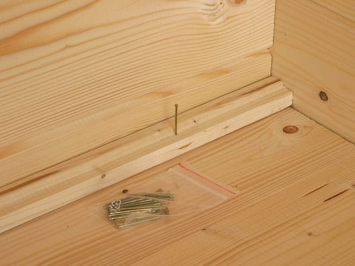 Wolff Finnhaus Pultdachhaus Trondheim 44-D XL 2-Raum naturbelassen