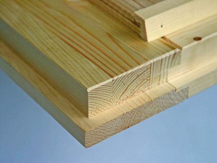 Wolff Pultdachhaus Varianta A basic