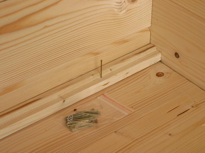 Wolff Pultdachhaus Varianta A basic